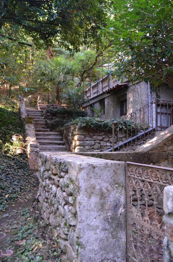 Appartamento Mas Mialou Saint-Jean-du-Gard Esterno foto